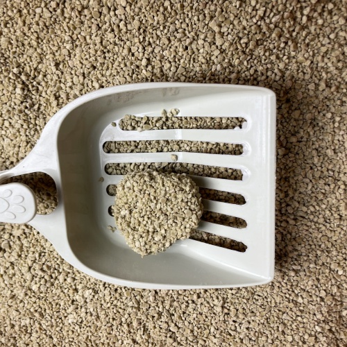 Green bamboo cat litter
